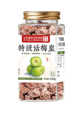 【甄选专研】特级九制大颗话梅皇