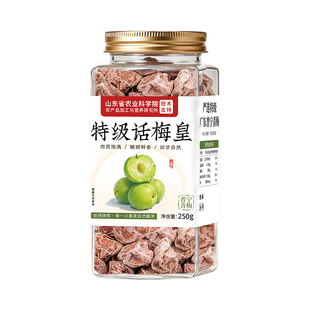 特级话梅正宗九制话梅皇官方旗舰店老字号大零食干酸孕妇零食洱宝