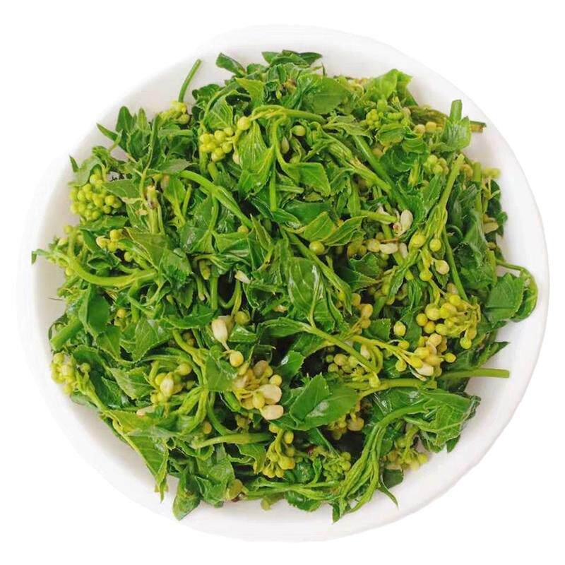 麻城特产新鲜山野菜白花菜大别山珍品野菜新鲜焯水真空包装花儿菜