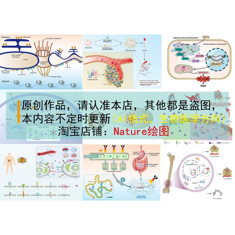 SCI科研绘图素材AI素材生物医学代画学习素材医学绘图AI模板
