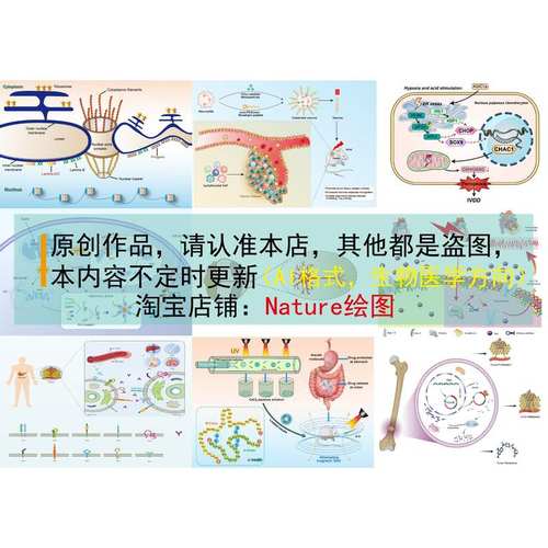 SCI科研绘图素材AI素材生物医学代画学习素材医学绘图AI模板