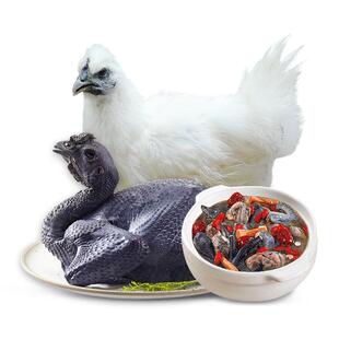 天农清远乌鸡整鸡1kg新鲜走地乌骨鸡肉月子炖汤正宗白凤活苗生鲜