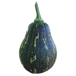 春播春季蔬菜瓜果类种子套餐--冬瓜南瓜苦瓜丝瓜笋瓜西葫芦黄瓜孑