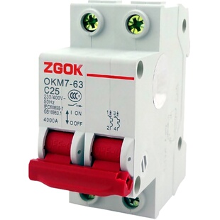 32安空气开关2P家用63a保护器电闸总空开开关1P 3P小型断路器DZ47