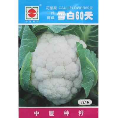 中厦雪白60天花椰菜菜花种子 耐热抗病 白花菜 优质花椰菜种 10克