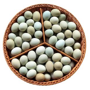 正宗散养乌鸡蛋新鲜绿壳鸡蛋营养宝宝孕妇蛋整箱