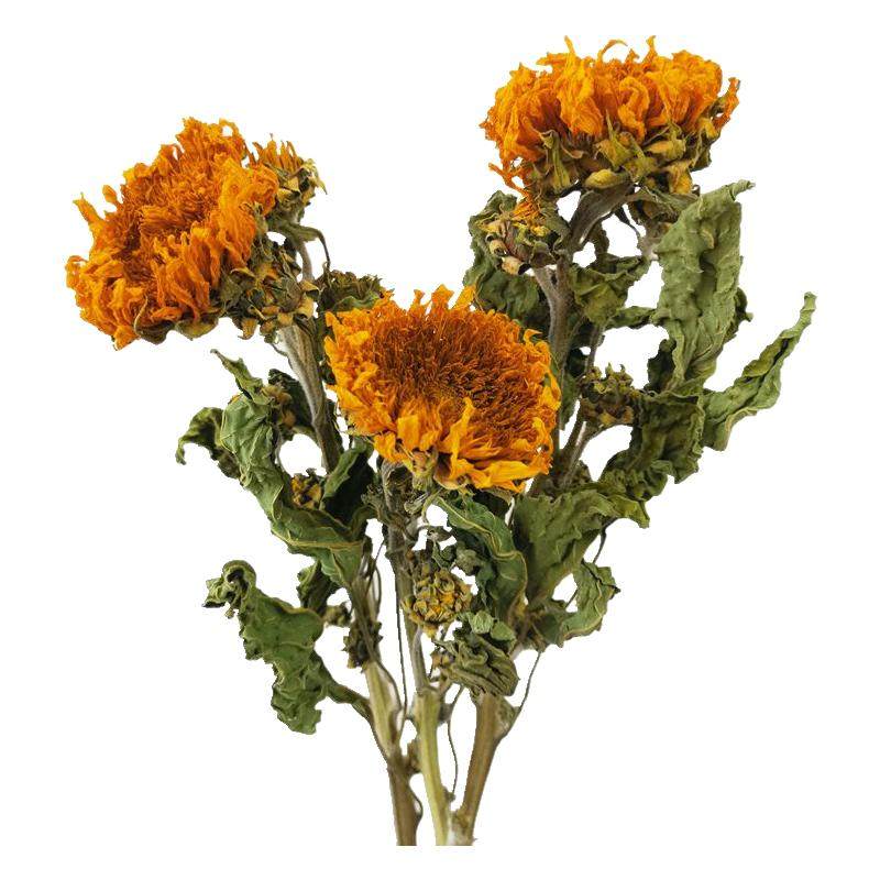 云南干花重瓣向日葵真花风干花束北欧咖啡厅家居装饰插花拍摄道具