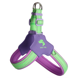 AlloyDog宠物牵引绳子大中小型犬外出专用品可爱夏天遛狗狗胸背带