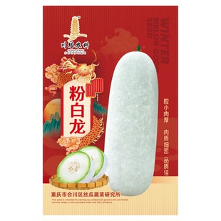 粉白龙冬瓜种子粉皮蔬菜迷你冬瓜种籽水果四季盆栽春季播蔬菜种孑