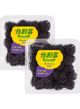 云南怡颗莓花香大黑莓花青素水果