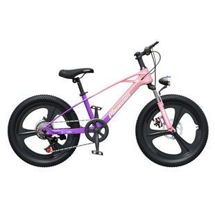 凤凰超轻镁合金儿童自行车6到12岁男女孩10-12岁减震变速学生单车