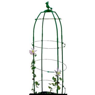 月季爬藤蔓花支架可任意缩放铁线莲攀撑杆架子玫瑰植物固定牵引架