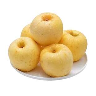 正宗山东黄金维纳斯苹果新鲜当季非奶油富士苹果脆甜大果孕妇水果