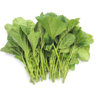 四川农家冬寒菜新鲜冬汉菜冬涵菜马蹄菜冬苋菜蔬菜叶野菜钙菜时令