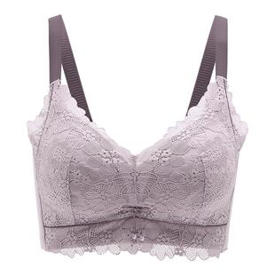 芬腾女士内衣无钢圈胸罩性感蕾丝聚拢上托大胸显小防下垂大码文胸