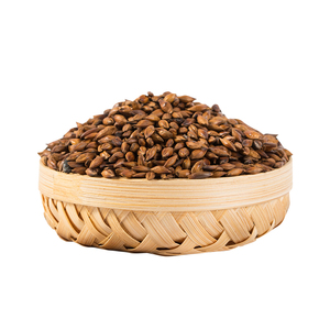 花草茶 大麦茶 韩国 散装  麦香茶 麦芽茶 500克