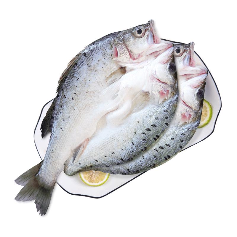 好漁阿聰白蕉海鱸魚(yú)新鮮冷凍生鮮水600g海鱸魚(yú)（2條300g/袋）*3袋