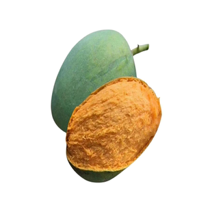 鸡蛋芒果苗皮薄蜜甜椰香芒果树嫁接苗南北方庭院阳台盆栽常绿果树