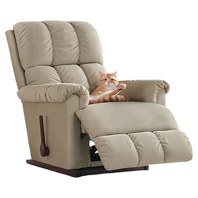 乐至宝335D萌宠假日阳光淘懒人椅