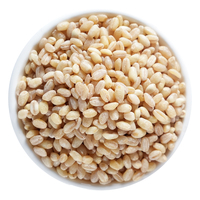 新貨小麥仁米農(nóng)家自產(chǎn)無皮麥仁米