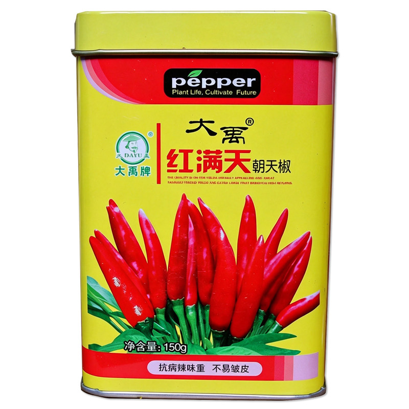 大禹红满天朝天椒种子