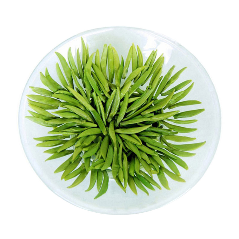 四川蒙顶山茶茶邸雀舌绿茶叶