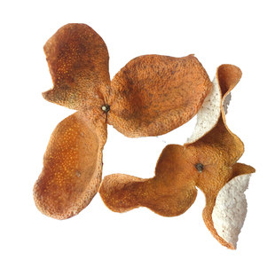 2024年正宗新会茶坑陈皮12年老树生晒原枝纯圈枝柑大二红皮大青皮