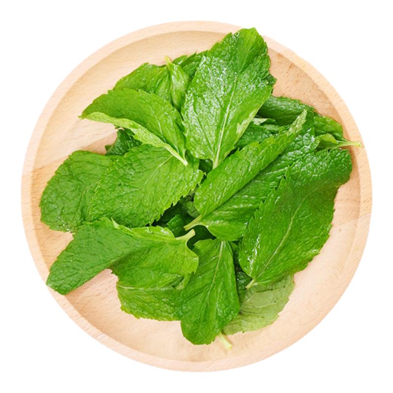 留兰香薄荷叶食用泡水40片