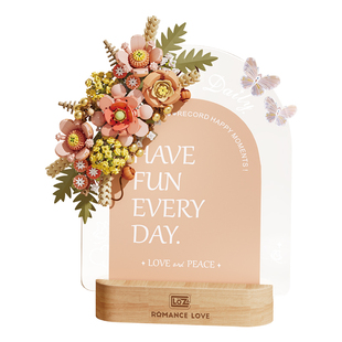 俐智LOZ积木胭粉留言板灯光diy桌面摆件拼装玩具梦蓝留言板礼物女