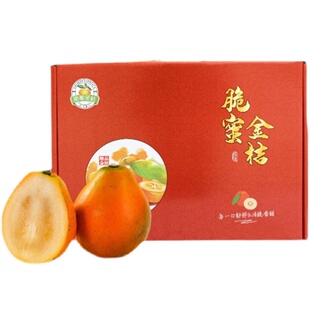 【超大标王30颗一箱礼盒装】广西融安脆蜜金柑无籽小金桔新鲜水果