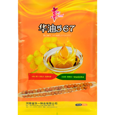 高产千斤早熟杂交油菜花