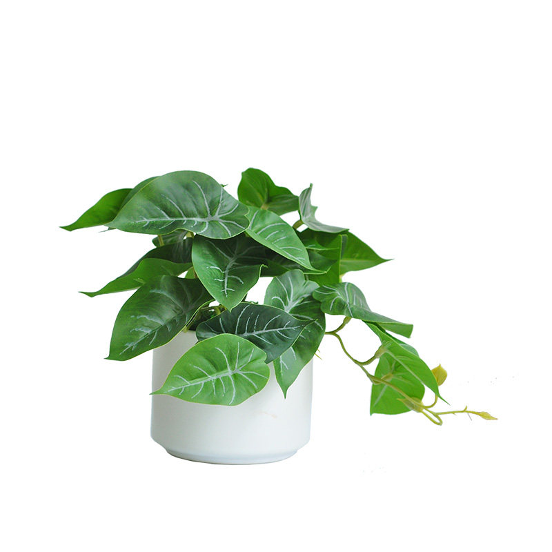 九思仿真绿植桌摆装饰自然风格