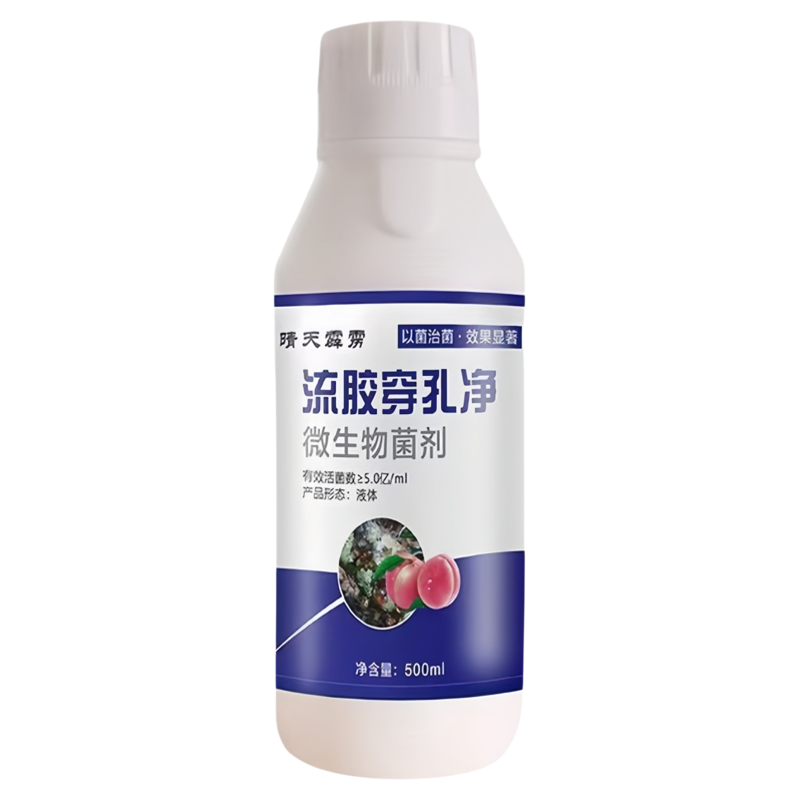 果树流胶穿孔病流胶病缩叶