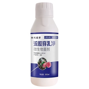 果树流胶穿孔病流胶病缩叶病炭蛆病褐腐病樱桃桃树苹果流胶一喷净