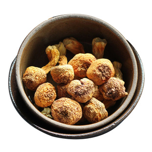 建宁公主 云南自采姬松茸干货新鲜巴西菇松茸菌蘑菇特产200g