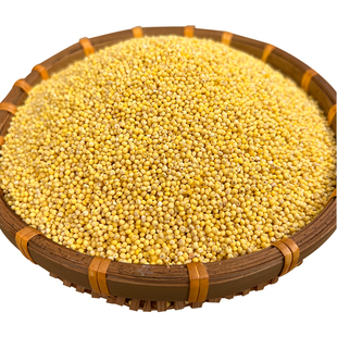 2025东北大黄米新米黍米黏粘黄米包粽子农家糯小米杂粮粘糯黑龙江