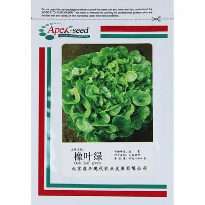 蔬菜罗莎高产四季阳台紫叶生菜