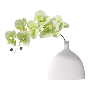 高颜值蝴蝶兰仿真花假花客厅摆设餐桌花摆花装饰花艺摆件轻奢高端