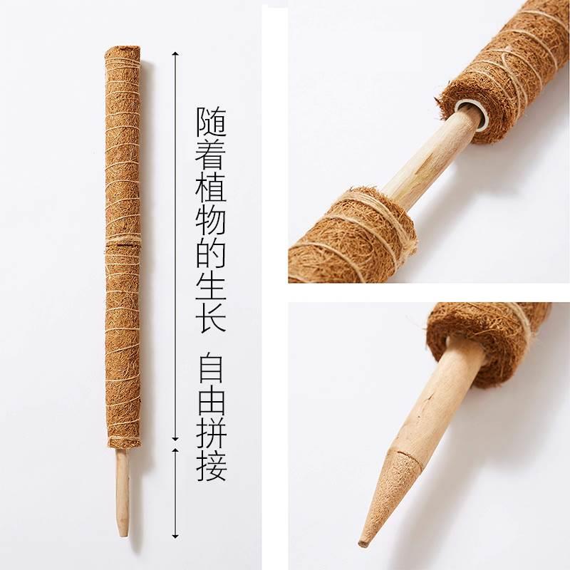 龟背竹支撑杆定型椰棕棒棕棒大叶绿萝柱植物固定花架架棕榈攀爬苔