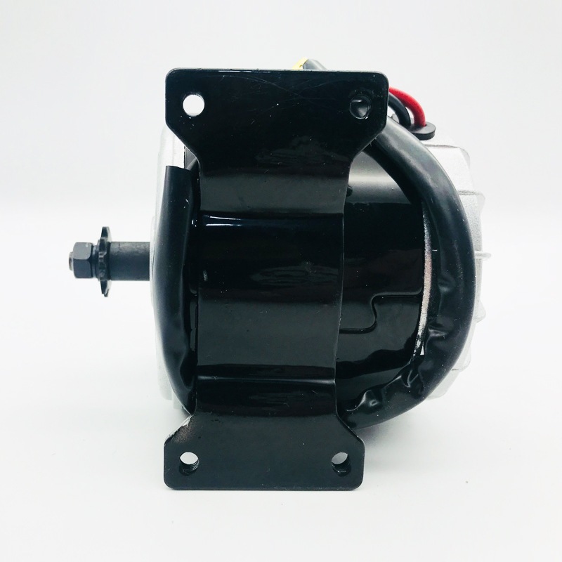 羚鹰小海豚同步齿轮电机24V350W300W250W高速电机电动车高速电机