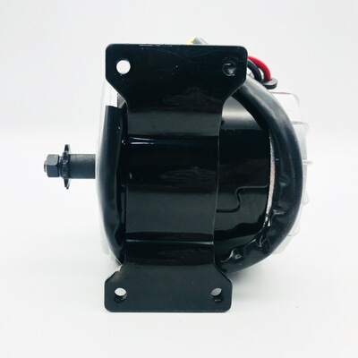羚鹰小海豚同步齿轮电机24V350W300W250W高速电机电动车高速电机