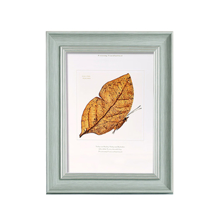 JOJO'S L. PD.Library.创意美式画框儿童相片相架相框摆台丨体库