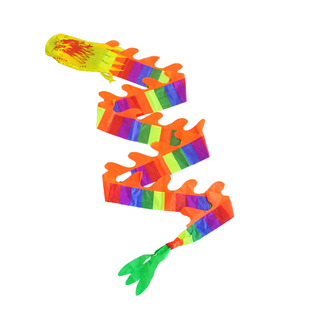 舞龙彩带健身儿童甩甩龙道具广场彩带舞龙耍表演初学杆甩空竹龙