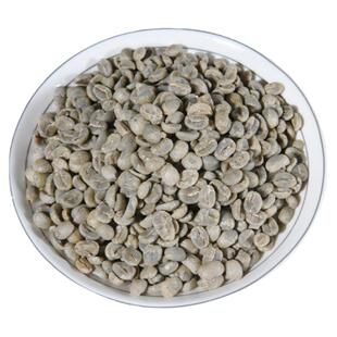 紫叶卡杜拉咖啡生豆 花香水果味普洱精品咖啡阿拉比卡中度烘焙