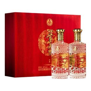 五粮液股份公司出品礼盒白酒一尊天下经典52度浓香500ml*2瓶过节