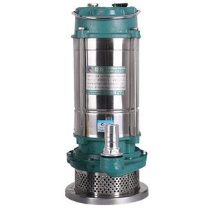 臣源220V不锈钢潜水泵自动带浮球 农用排污泵 家用抽水泵农田灌溉