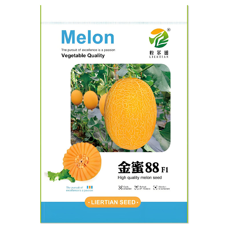 金蜜88大果黄皮哈密瓜甜瓜种子