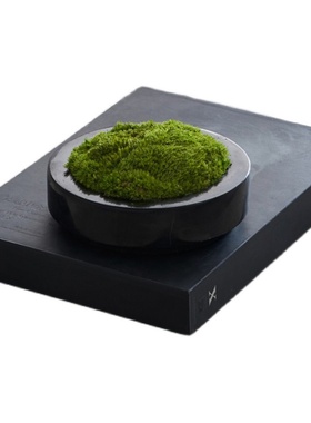 现代轻奢新中式茶几永生青苔花艺