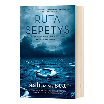 至海之盐 英文原版小说 Salt to the Sea 向大海撒盐 英文版 卡耐基文学奖 二战沉船事件