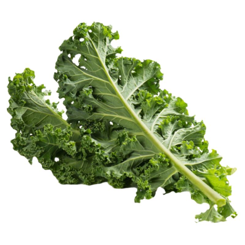 新鲜羽衣甘蓝沙拉食材kale榨其它